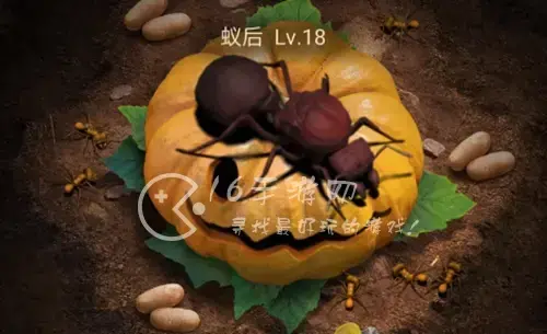 蚁人部落最强阵容，蚁族崛起新手最强阵容
