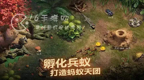 蚁族崛起新手阵容搭配，蚁族崛起最强阵容秘法搭配