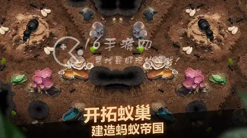 蚁族崛起vip多少钱，蚁族崛起vip4要充多少钱