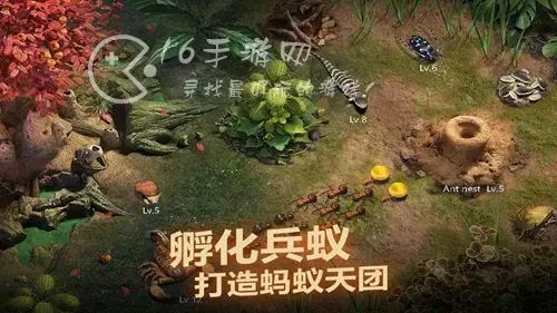 蚁族崛起vip多少钱，蚁族崛起vip4要充多少钱