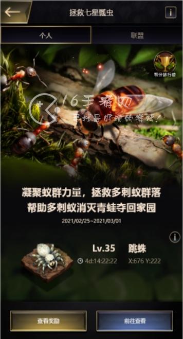 七星瓢虫怎样救小蚂蚁，七星瓢虫怎么救河中的小蚂蚁