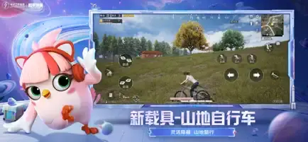 和平精英 和平精英