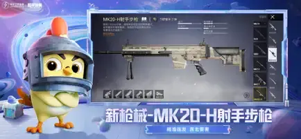 和平精英 和平精英