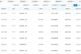 《王者荣耀·世界》是一款开放世界RPG游戏