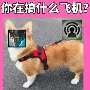 金铲铲 | 先下手为强！全队加成光速启动，兄弟你开大怎么这么慢啊？