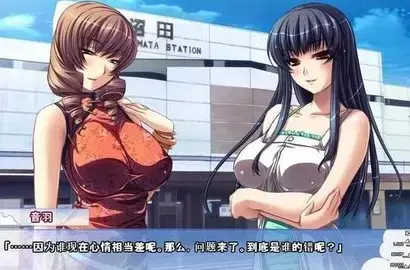 怀孕大作战1.0 安卓版