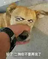 给个网站你懂得