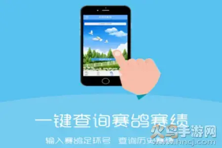 中鸽直播网3c直播平台