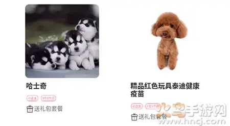 淘宠网app宠物猫狗交易平台