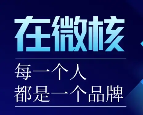 微核app