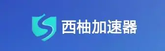 西柚加速器app下载最新版