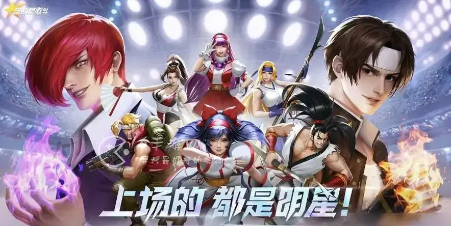 大蛇斗鸡阵容，大蛇搭配什么阵容