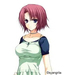 《晓之护卫(暁の护卫)》(晓之护卫资源)