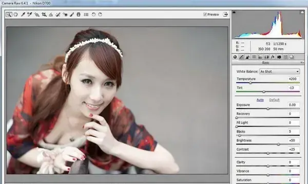 Adobe Camera Raw，adobe camera raw13.2下载