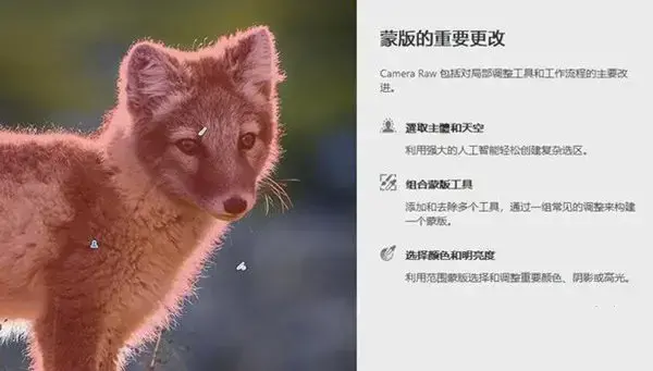 Adobe Camera Raw，adobe camera raw13.2下载