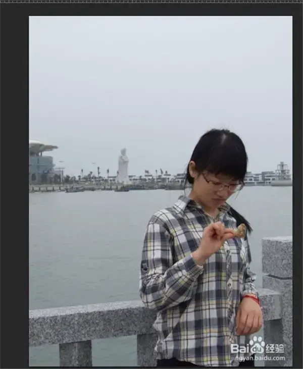 Adobe Camera Raw，adobe camera raw13.2下载