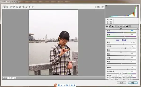 Adobe Camera Raw，adobe camera raw13.2下载