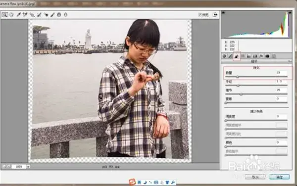 Adobe Camera Raw，adobe camera raw13.2下载