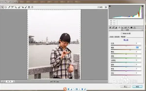 Adobe Camera Raw，adobe camera raw13.2下载