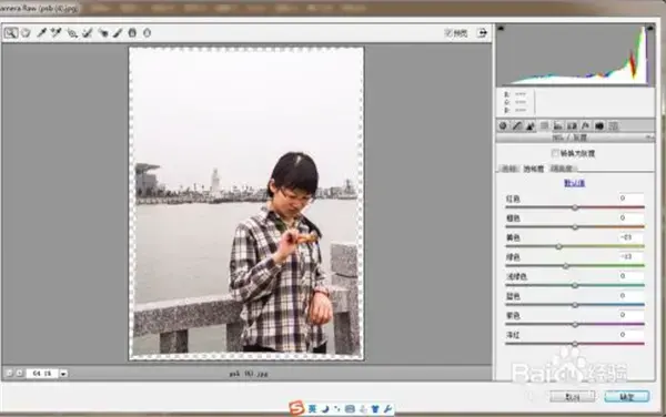 Adobe Camera Raw，adobe camera raw13.2下载