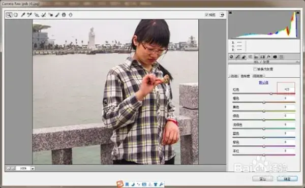 Adobe Camera Raw，adobe camera raw13.2下载