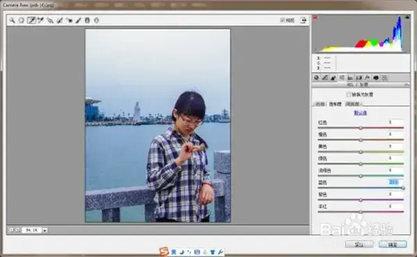 Adobe Camera Raw，adobe camera raw13.2下载