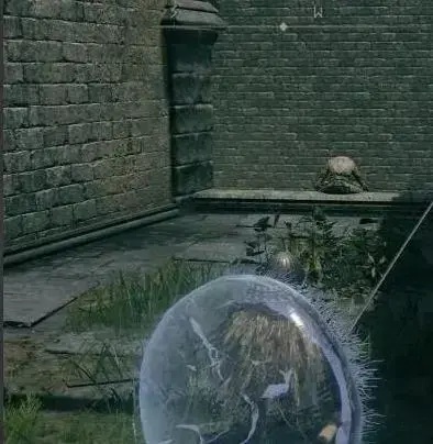 爱尔顿环2024版，爱尔顿环蒸汽中文2024版，爱尔顿环pc2024版