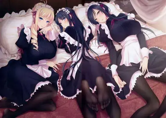 二次元mm黑丝白丝肉腿同人福利插图集赏析