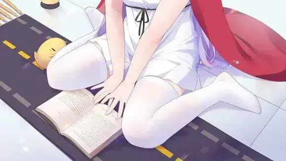 二次元mm黑丝白丝肉腿同人福利插图集赏析