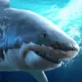 深海捕猎者游戏
