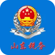 山东省电子税务局app