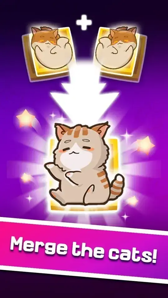 合并猫