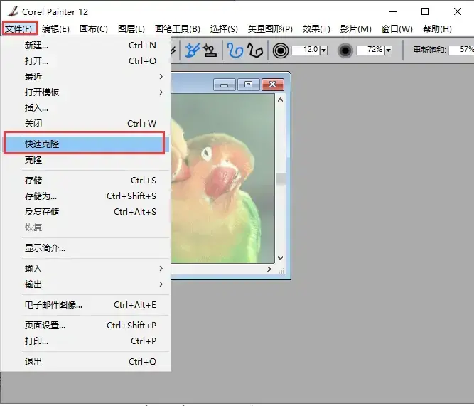CorelPainter12中文 CorelPainter12中文