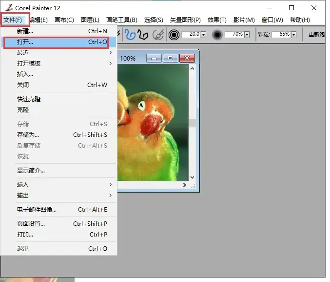 CorelPainter12中文 CorelPainter12中文