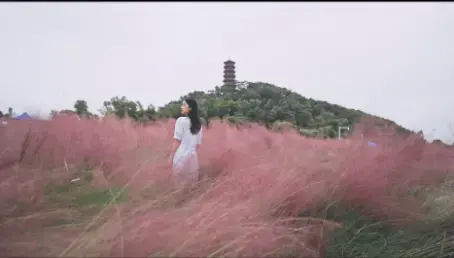 牛牛视频2022最新版