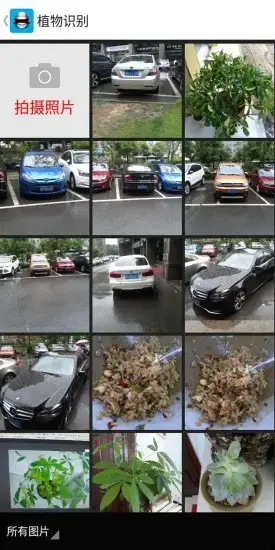 智能图像识别app