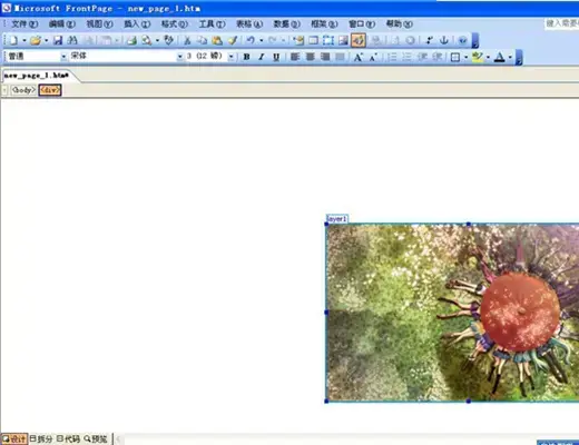 frontpage2003免费版
