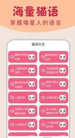 喵咪