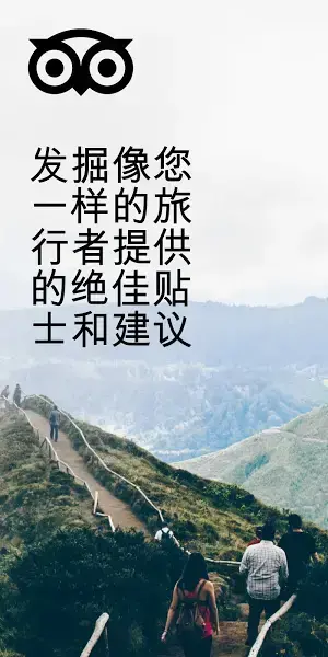 TripAdvisor猫途鹰