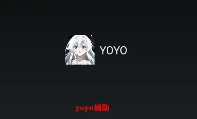 YOYO软件