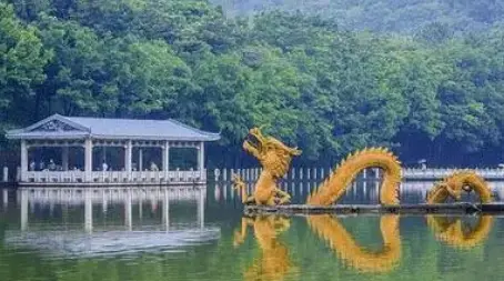 西樵论坛