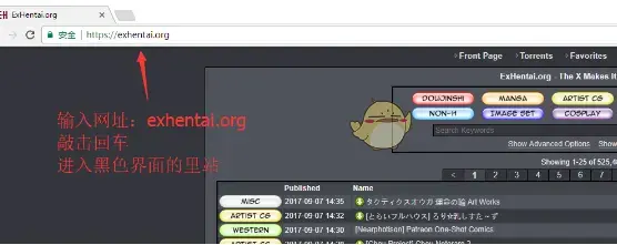 e站怎么进入里站 EHviewer进入里站方法