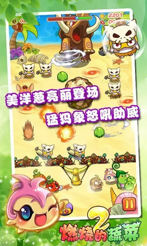 燃烧的蔬菜2v3.2.0