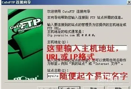 cuteftp9.0免安装附激活序列号2024版