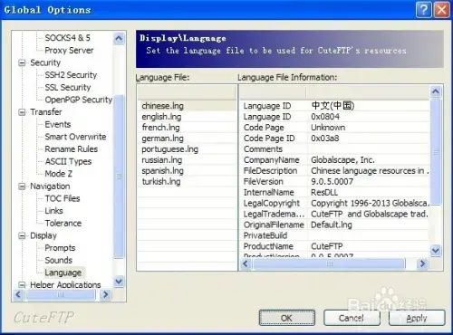 cuteftp9.0免安装附激活序列号2024版