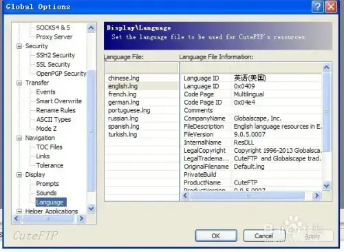 cuteftp9.0免安装附激活序列号2024版