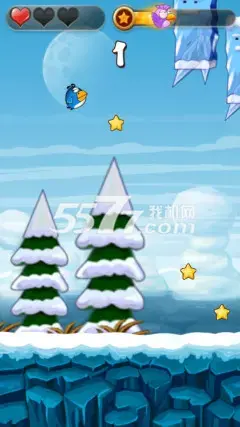 疯狂的小鸟 疯狂的小鸟