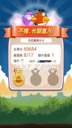 疯狂的小鸟 疯狂的小鸟