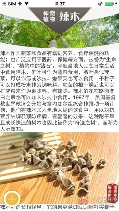 云南百货网苹果版