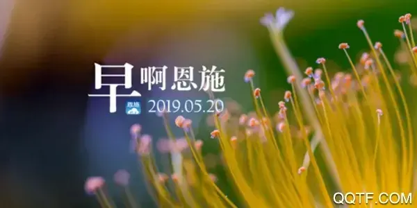 云上恩施app手机版